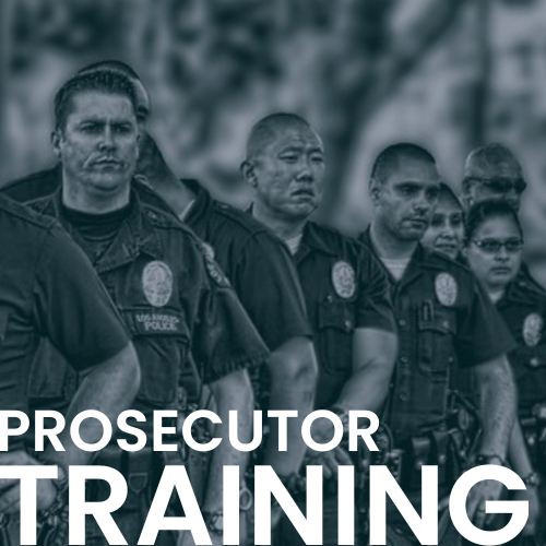 Prosecutor Brady Training